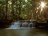 Tolliver Falls at Swallow Falls State Park