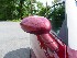 Passenger Mirror