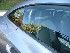 Passenger Side
