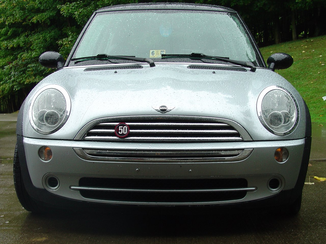 Front Grill-Mounted Badge