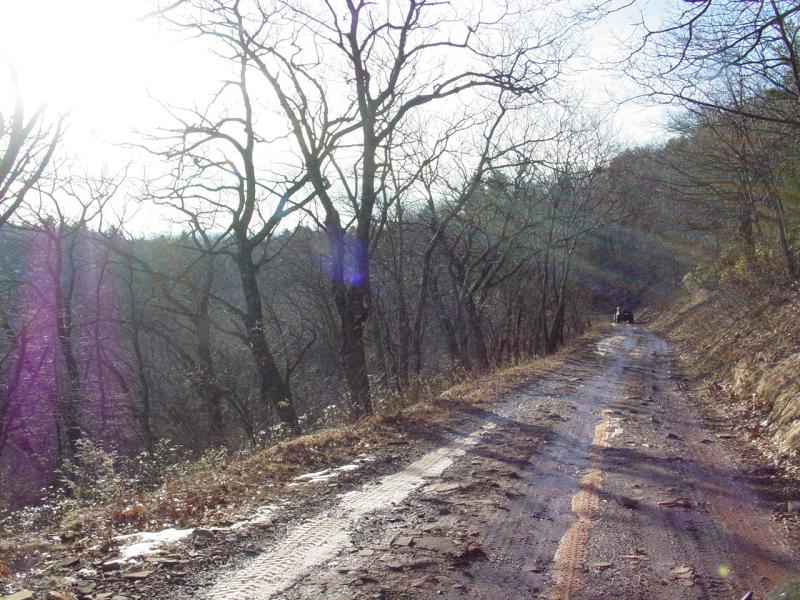 Trail on Flagpole Knob - Click to Enlarge
