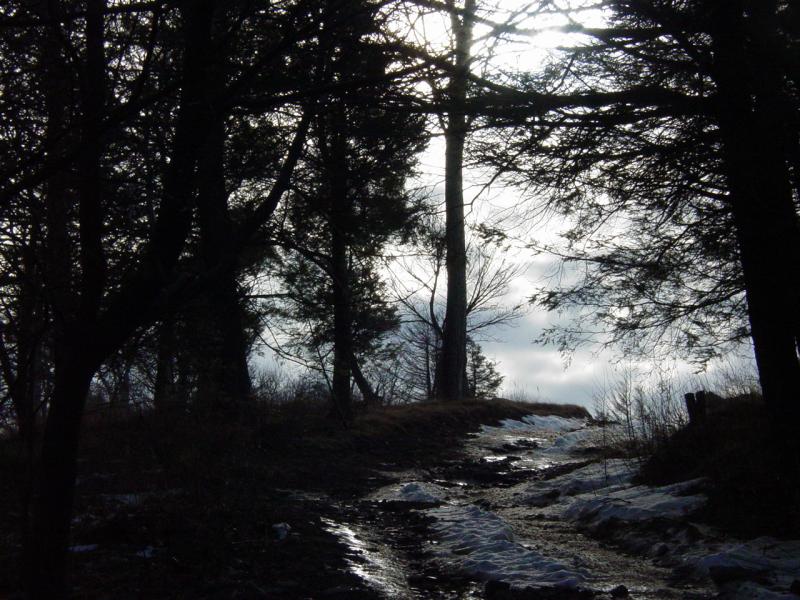 Trail view to Meadow Knob - Click to Enlarge