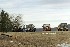 More Jeeps on Flagpole Knob