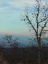 Summit View