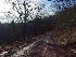 Trail on Flagpole Knob