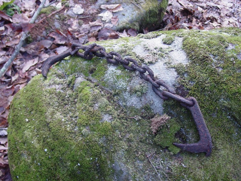 Ancient logging gear