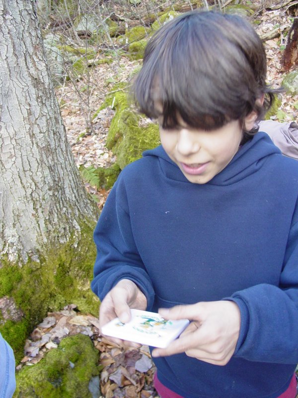 Tom finds a puzzle