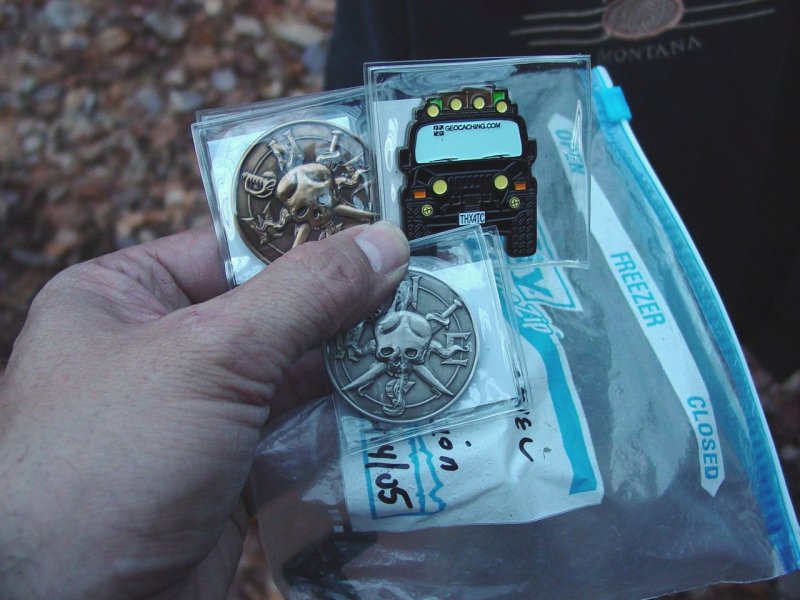 Logged Some GeoCoins