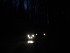 Drove Home in the Dark