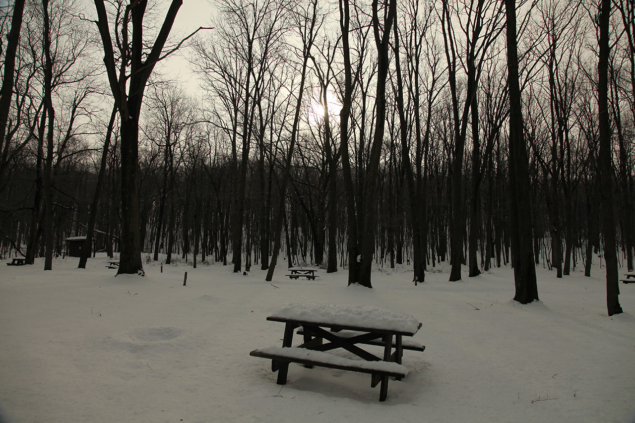 This is no picnic