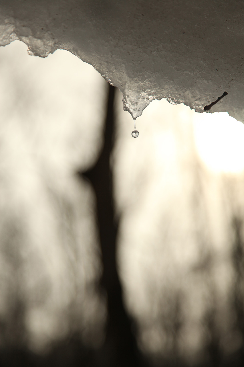 Melting Snow