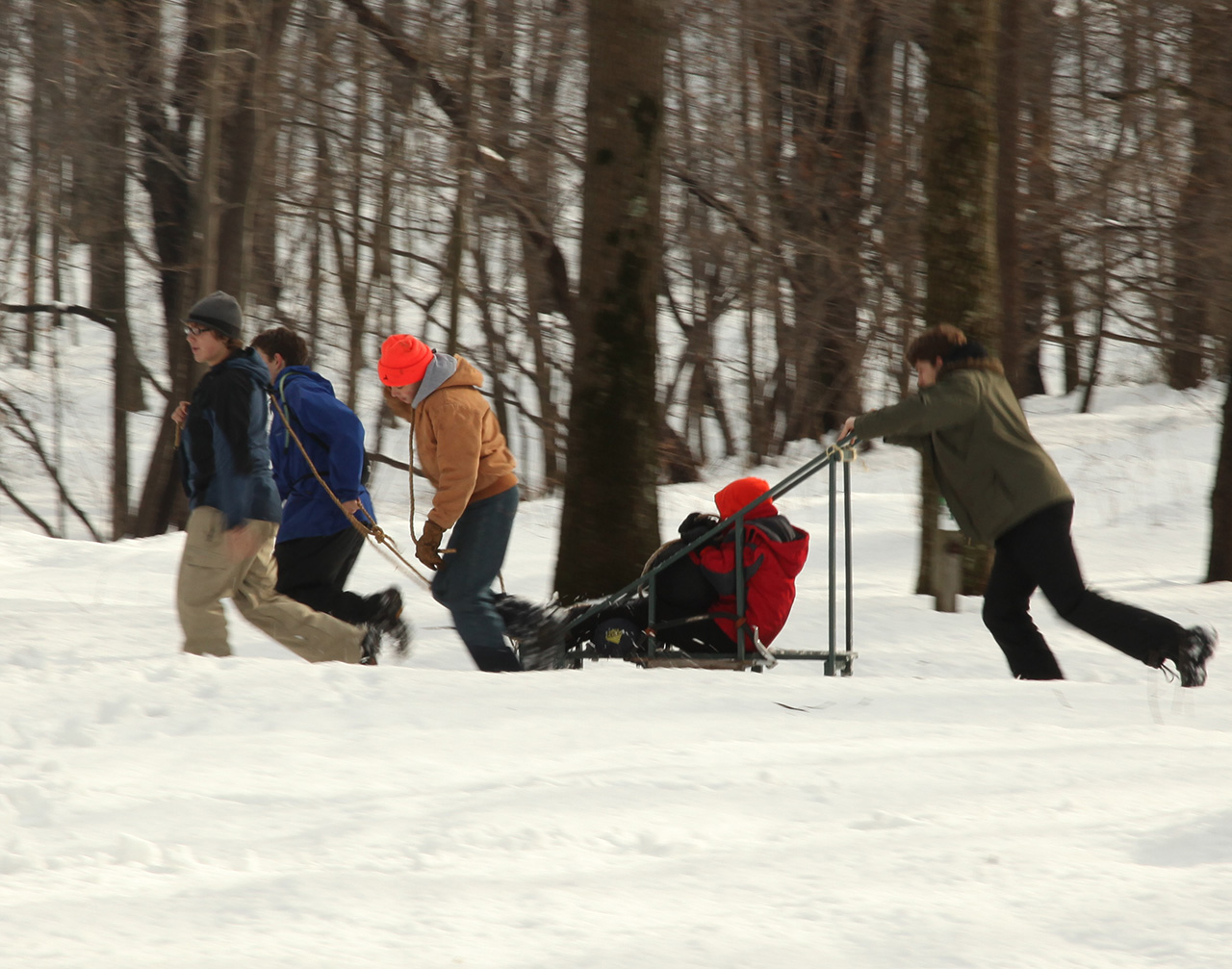 Sled Team