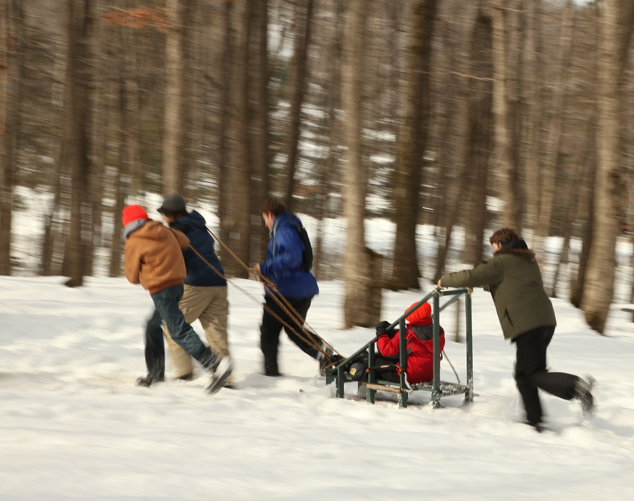 Sled Team