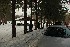 Chestnut Ridge