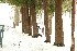 Chestnut Ridge