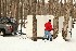 Snowball Fight