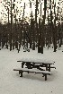This is no picnic