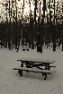 This is no picnic