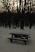 This is no picnic