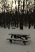 This is no picnic