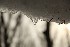 Snow Melt