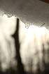 Snow Melt
