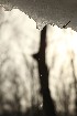 Snow Melt