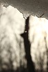 Snow Melt