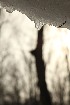 Snow Melt