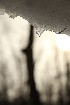 Snow Melt