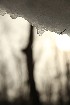 Snow Melt