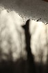 Snow Melt