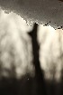 Snow Melt
