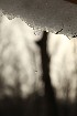 Snow Melt