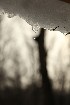 Snow Melt