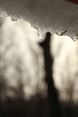 Snow Melt