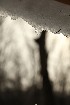 Snow Melt