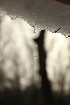 Snow Melt
