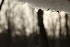 Snow Melt
