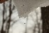 Snow Melt