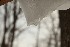 Snow Melt