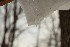 Snow Melt