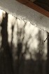 Snow Melt