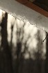 Snow Melt