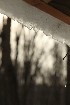 Snow Melt