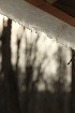 Snow Melt