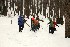 Sled Pullers