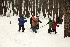 Sled Pullers