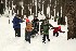 Sled Pullers