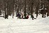 Sled Pullers